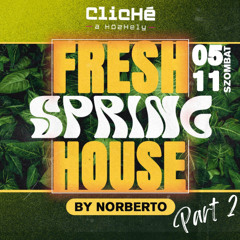Norberto - Live Set @ Fresh Spring House 2024.05.11 Part 2 ClicHé Kecskemét