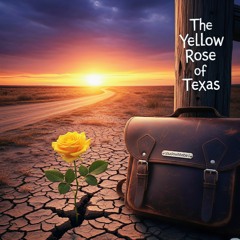 The yellow Rose of Texas