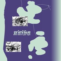 PREMIERE: Primitive — Rental Snake (Self-released)