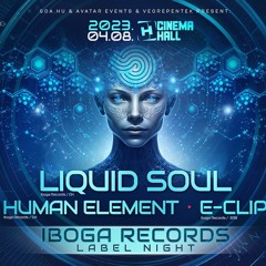 Woody & Gra3o & HiBoo Live @ Iboga Night - Liquid Soul I E - Clip & Human Element