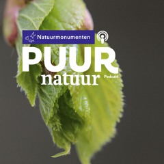 Puur Natuur: Bert Maes en Ellen Ter Stege over het belang van inheemse bomen in de natuur