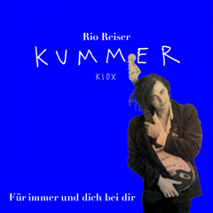 Rio Reiser X Kummer - Für Immer Und Dich Bei Dir (Steve Clash Mashup)