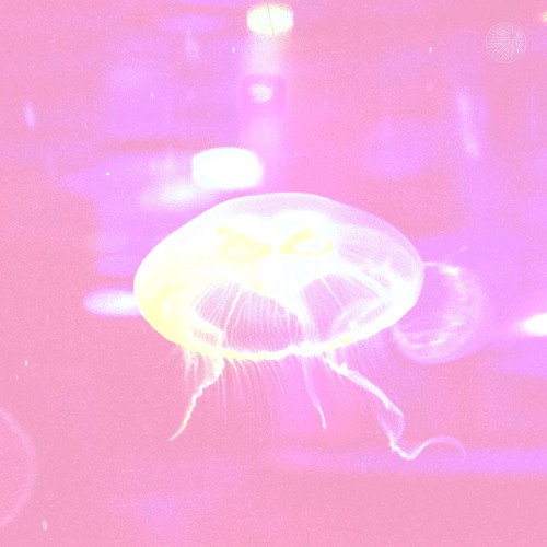 Darkduction presents. Mare Monstrum Live