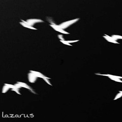 dove