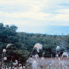 Log_20221209（demo）