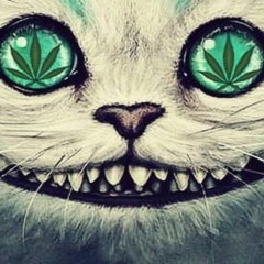 PSY 🎵 TECHNO 🎵 MINIMAL 🎵EDM 🎵 long set
