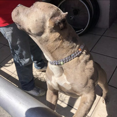 OMFTakeoff - Kickstart freestyle (REMIX)