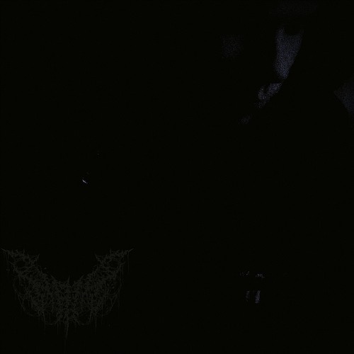 this world is a shithole (Prod.Krvmpux)
