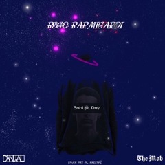 Begoo Barmigardi Bache x Dny