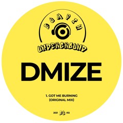 DMIZE - Got Me Burning