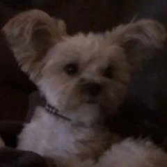 Ayo & Teo - Benji (Audio)