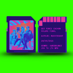 SET RINCE COCHON VOLUME FINAL