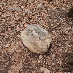 Archaic Shadows Upcoming Album " Ghost Machines"