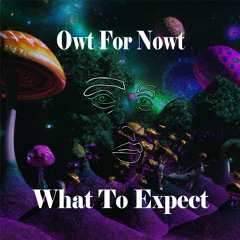 Owt For Nowt - What To Expect