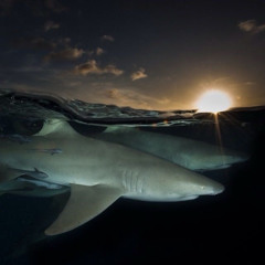 feeling hypersensitive