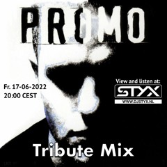 DJ Promo Tribute Mix - Millennium Hardcore (MH006) | Styx in da Mix - 017