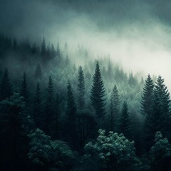 Light Rays (Interlude)