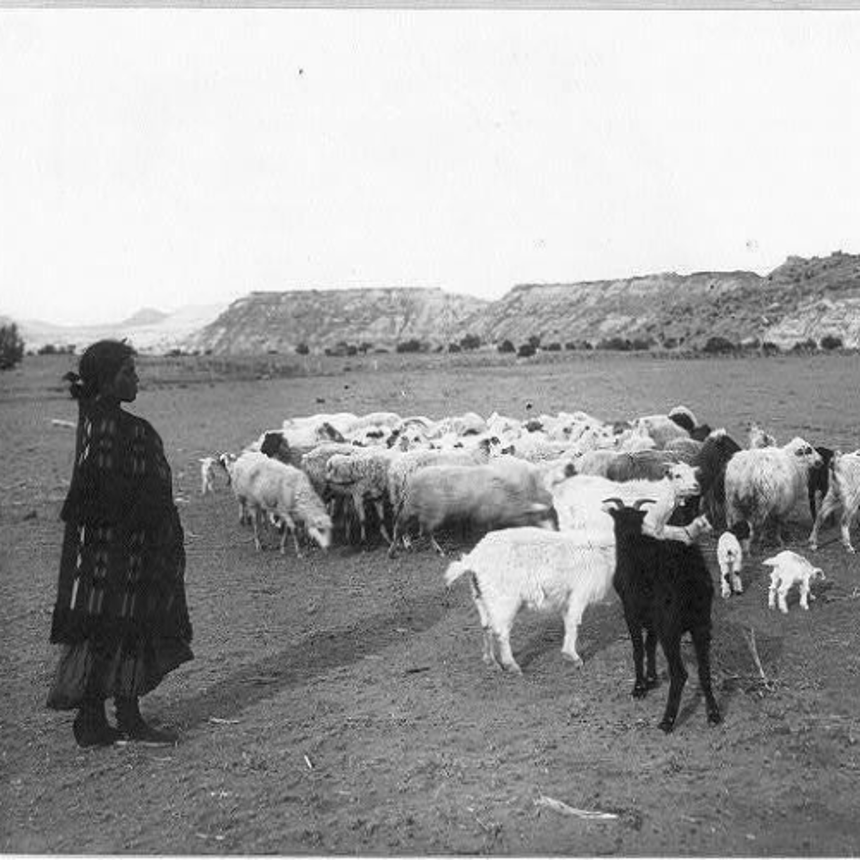 Aesthetic Resistance Podcast