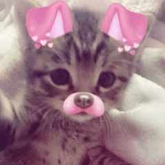 BE YOURSELF OR SOMEONE BETTER