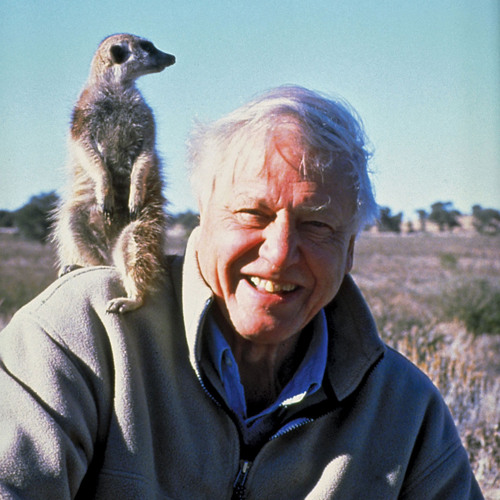 david attenborough goes on a bender pt 1