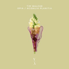 Tim Walche - Acidalia Planitia [Extended Mix]