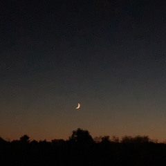 into a million peaces