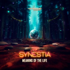 Synestia - Meaning Of The Life (ovniep574 - Ovnimoon Records)