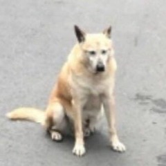 เบียร์ฟรี - 1LIFE (feat. FIIXD, BIRDMANKKC)