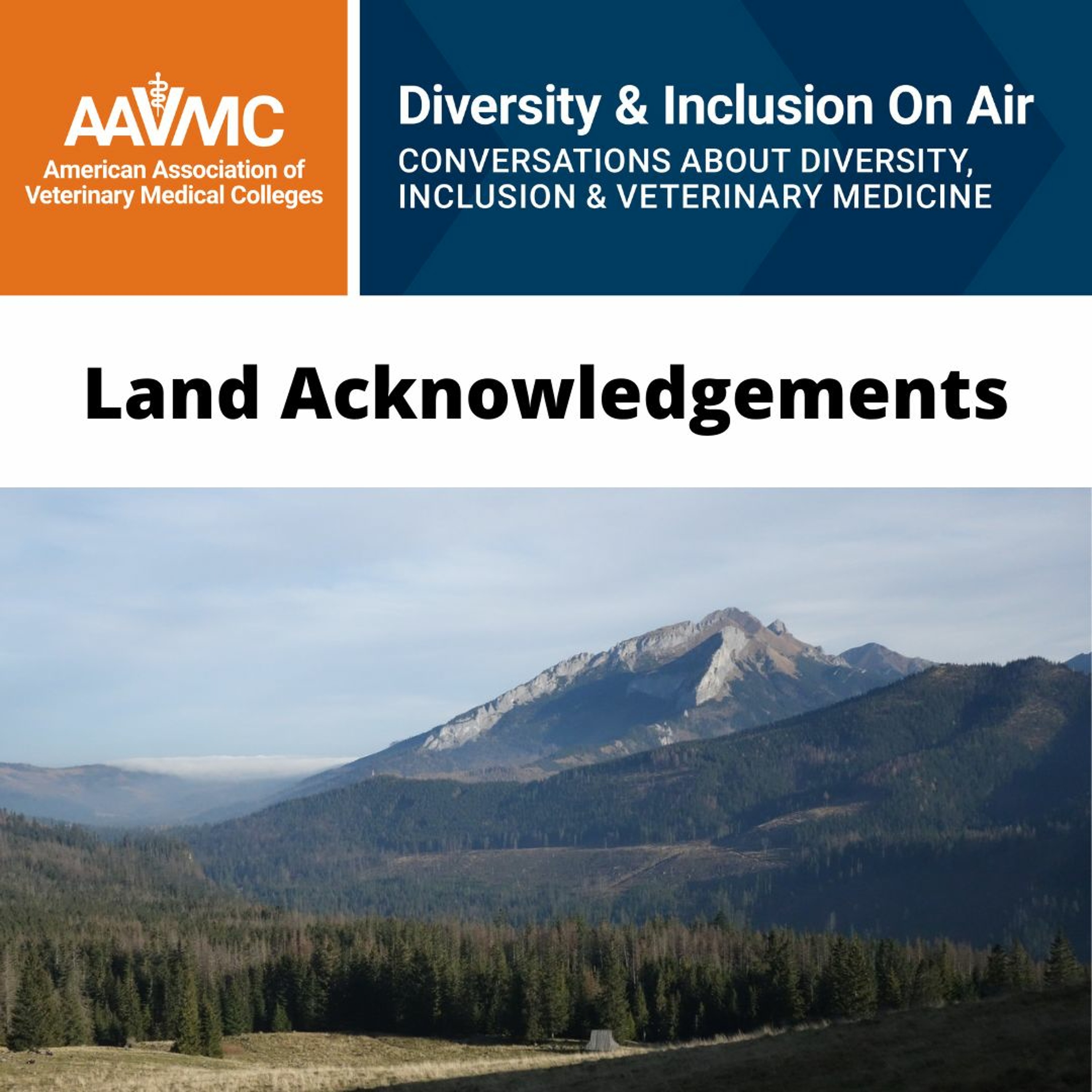 AAVMC\'s On Air: Conversations about Issues in Veterinary Medicine