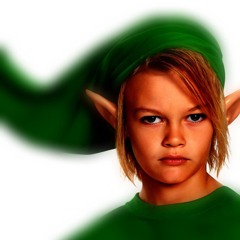 Lost Woods - Z3RSCHR3DD3RT