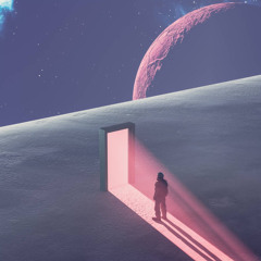 Leave The Gun, Take The Doobie