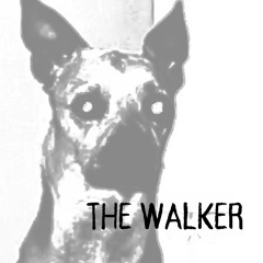 the walker
