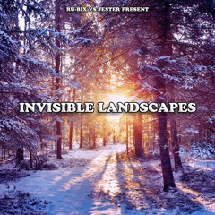 Invisible Landscapes 054