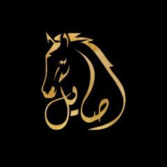 مصطفى الربيعي - (اصايل) قدر قدر2025