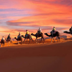 LEXY - Caravan / care a fan