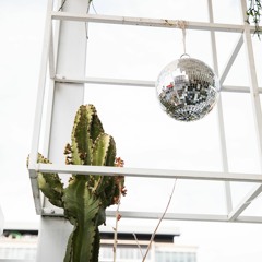 scottie's snacks vol. 7