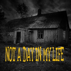 NOT A DAY IN MY LIFE