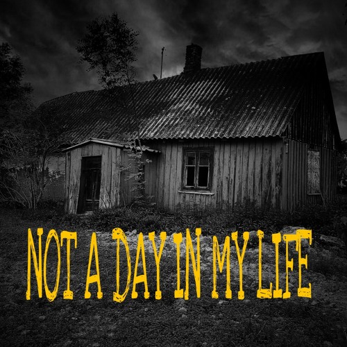 NOT A DAY IN MY LIFE