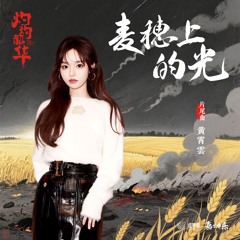麥穗上的光（電視劇《灼灼韶華》片尾曲）
