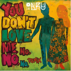 You don't love me NO,NO,NO (Paru Remix) Extended Mix FREE DOWNLOAD
