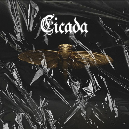 Stream Cicada by Listen online for free on SoundCloud