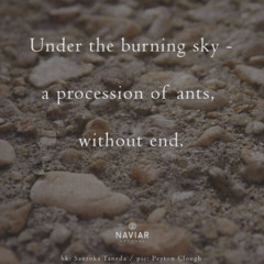 Glowing (naviarhaiku622)