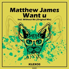 Want U (Original Mix)