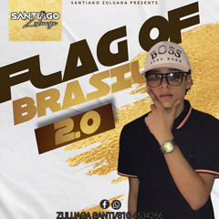 FLAG OF BRASIL2.0 🇧🇷🇧🇷SANTI ZULUAGA