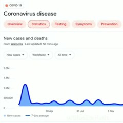 covid cases and deaths