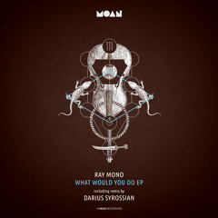 Premiere: Ray Mono - What Would You Do (Darius Syrossian Remix) [Moan Recordings]