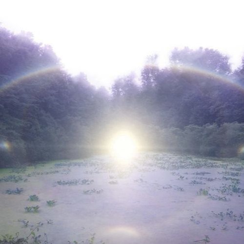 trying to feel alive (edit)