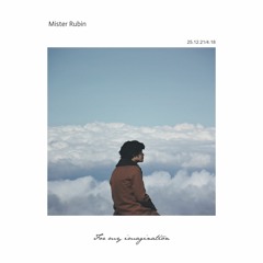 Mister Rubin