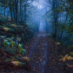 EL BOSQUE DEL TEKNO