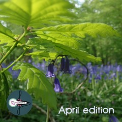 TMC Records - April 2024 playlist
